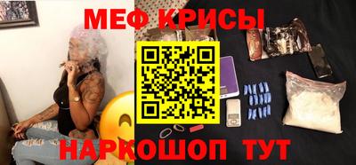 стаф Славгород