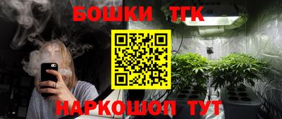 стаф Славгород