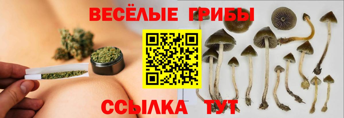 Новочеркасск  Галлюциногенные грибы Magic Shrooms  Вход с VPN 